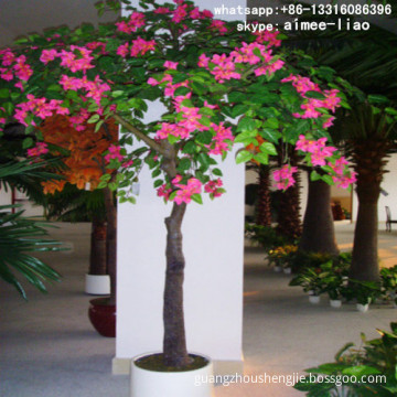 Q082233 types of ornamental plants artificial bougainvillea bonsai tree indoor plants